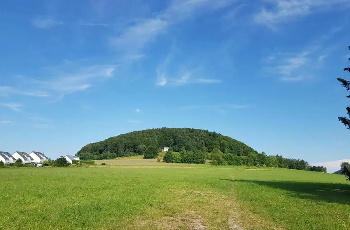 media.media.0885f0df-1e2e-4035-afd9-25777729f882.original1024